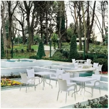 Compamia Romeo Resin Dining Arm Chair - Set of 2