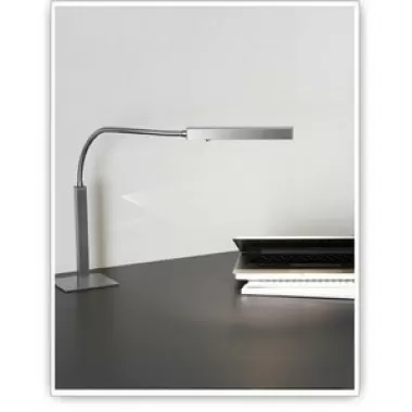 Tango Lighting Carpyen Airo Biblio Table Lamp