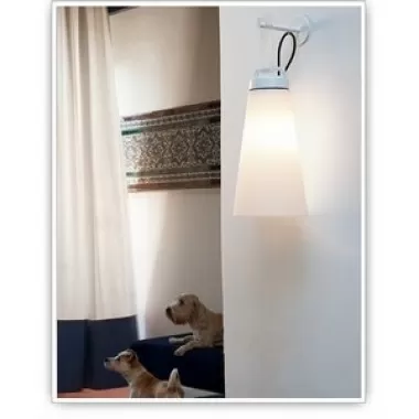 Tango Lighting Carpyen Sasha Wall Lamp