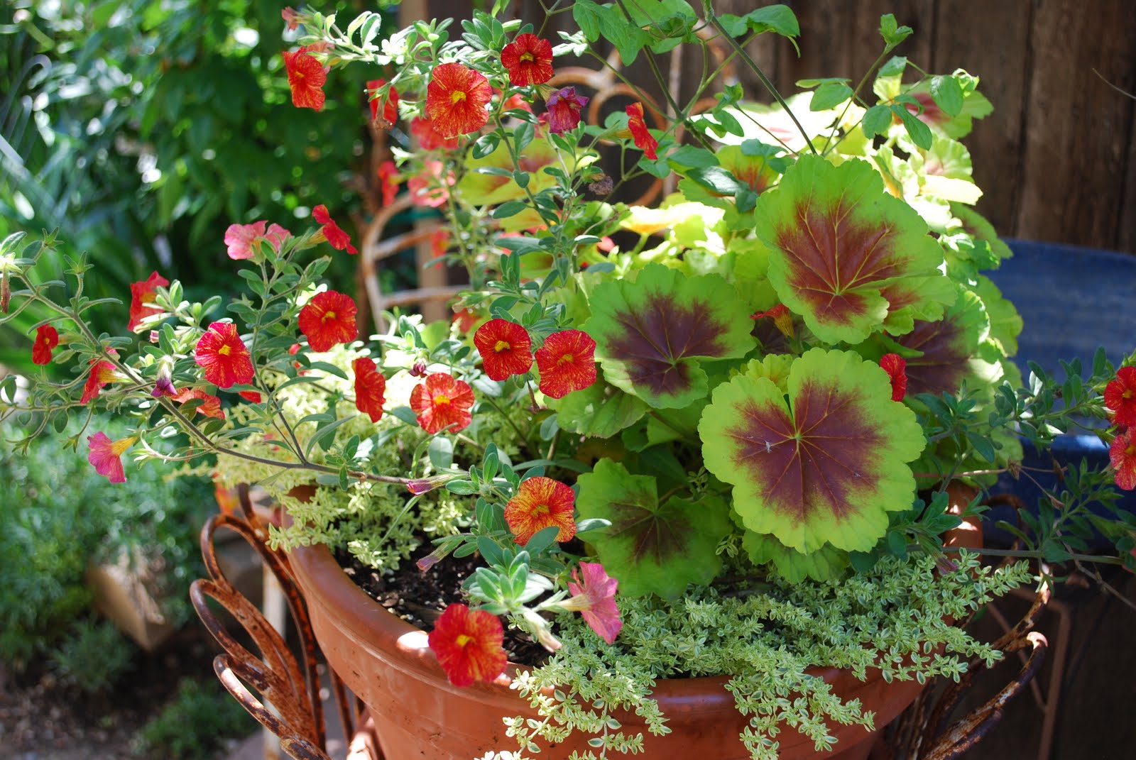 Container Gardens