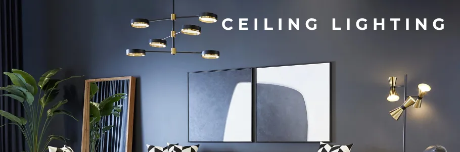 Ceiling LIghting Ceiling LIghting