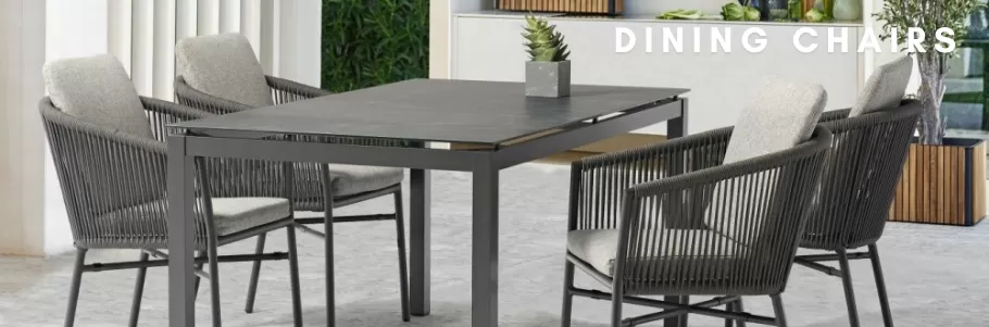 Dining Chairs