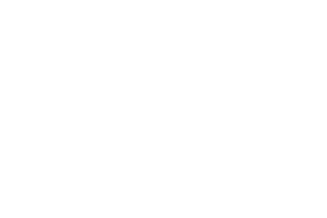 slider Logo