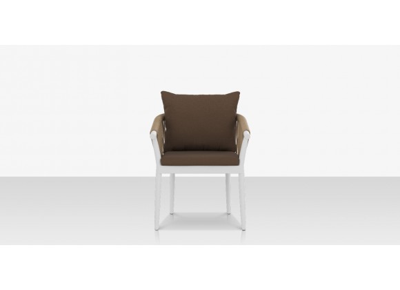 Source Furniture Vines Dining Arm Chair Tan Front