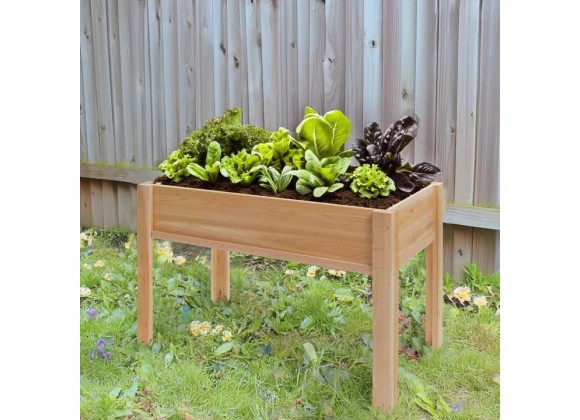 All Things Cedar 4-ft x 2-ft Raised Garden Box on Legs - Lifestyle