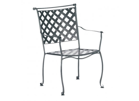 Woodard Et Cetera Maddox Dining Arm Chair with Optional Cushion