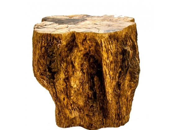 Stilnovo Good Form Petrified Wood Side Table (oggetti)