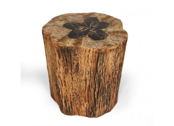 Stilnovo Good Form Tree Trunk Side Table with Petrified Wood Inlay