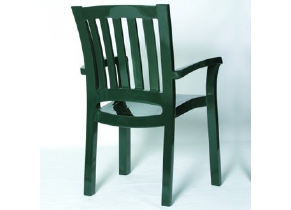 Compamia Sunshine Resin Dining Arm Chair