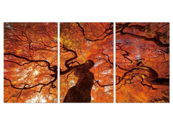 J&M Furniture Acrylic Wall Art Oak