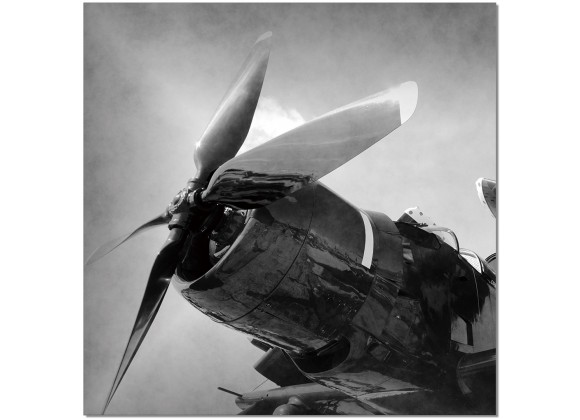 J&M Furniture Acrylic Wall Art Aircraft Rotor
