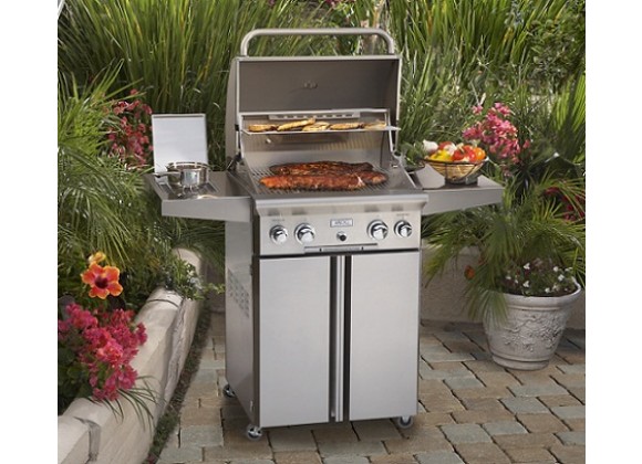 American Outdoor Grill 24" Portable Gas Grill