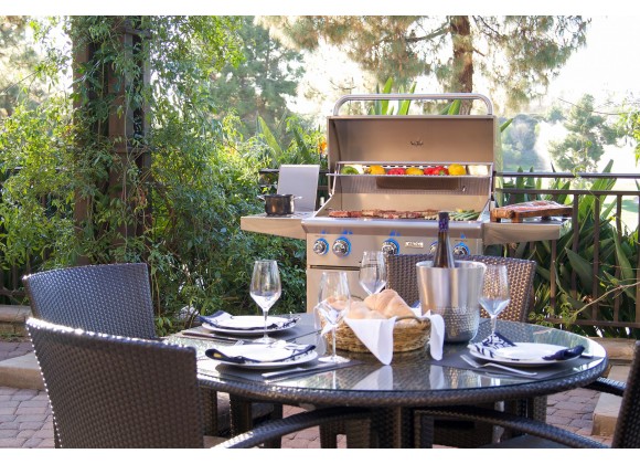 American Outdoor Grill 30 L-Series Portable Grill - Lifestyle