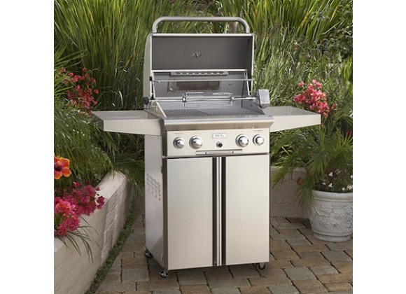 American Outdoor Grill 30" Portable Gas Grill