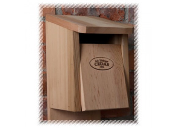 All Things Cedar Blujay Birdhouse