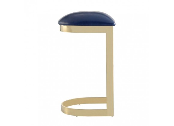 Manhattan Comfort Aura 28.54 in. Blue and Polished Brass Stainless Steel Bar Stool Side