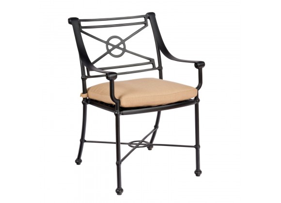 Woodard Delphi Dining Arm Chair with Optional Cushion