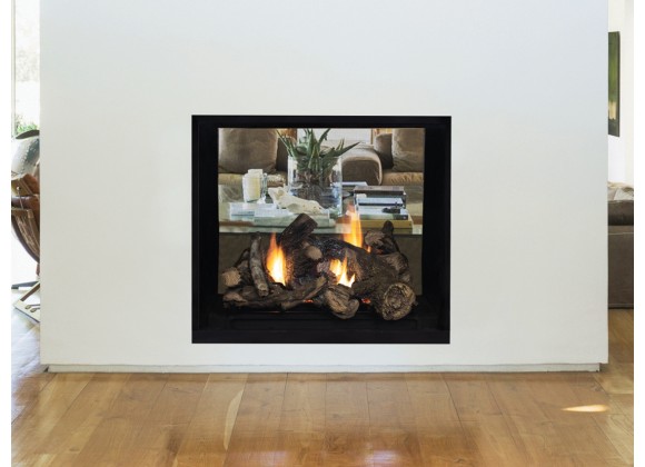 40" DV In See-Through With Electronic Ignition With power Vent