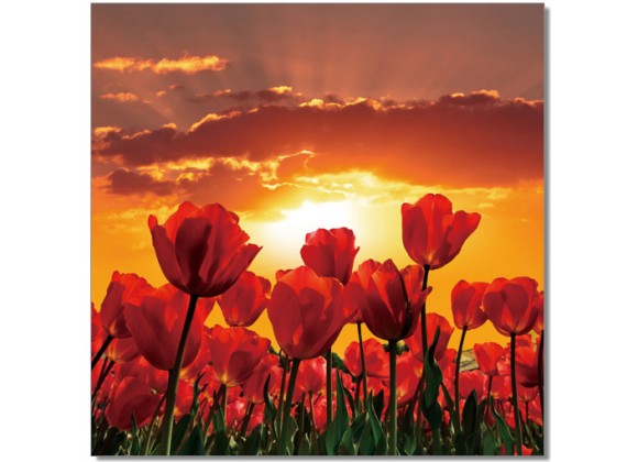 J&M Furniture Acrylic Wall Art Flowers in Bloom | SC-9778
