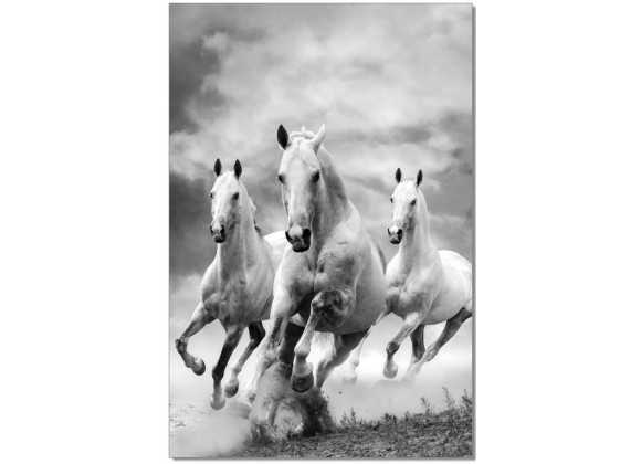 J&M Furniture Acrylic Wall Art Galloping Horses | SB-61081