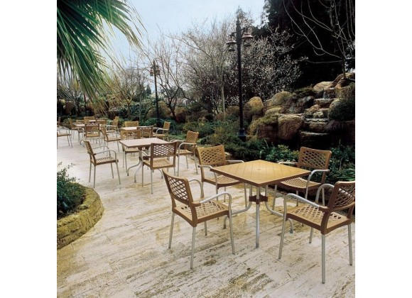 Compamia Bella Resin Dining Arm Chair - Set of 4
