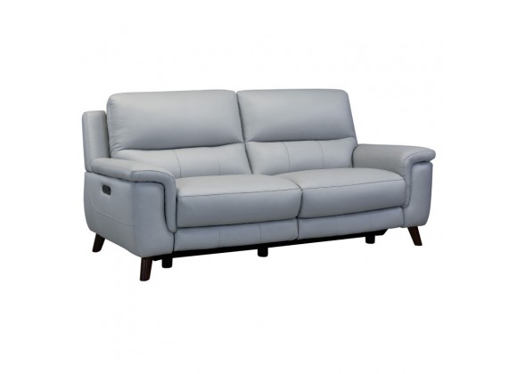 Armen Living Lizette Contemporary Sofa in Dark Brown Wood Finish and Dove Gray Genuine Leather Side