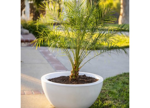The Outdoor Plus Luna GFRC Planter Bowl
