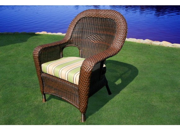 Tortuga Outdoor Sea Pines Resin Wicker Dining Chair