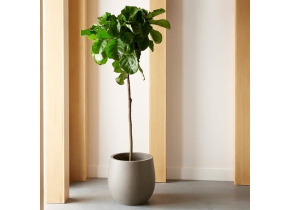Sunpan Rosen Planter - Lifestyle