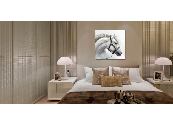J&M Furniture Acrylic Wall Art White Horse | SB-61184