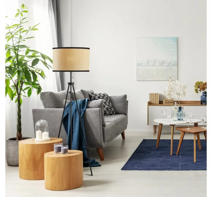 Adesso Raven Floor Lamp
