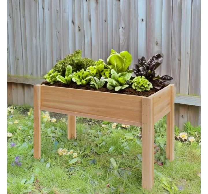 All Things Cedar 4-ft x 2-ft Raised Garden Box on Legs - Lifestyle