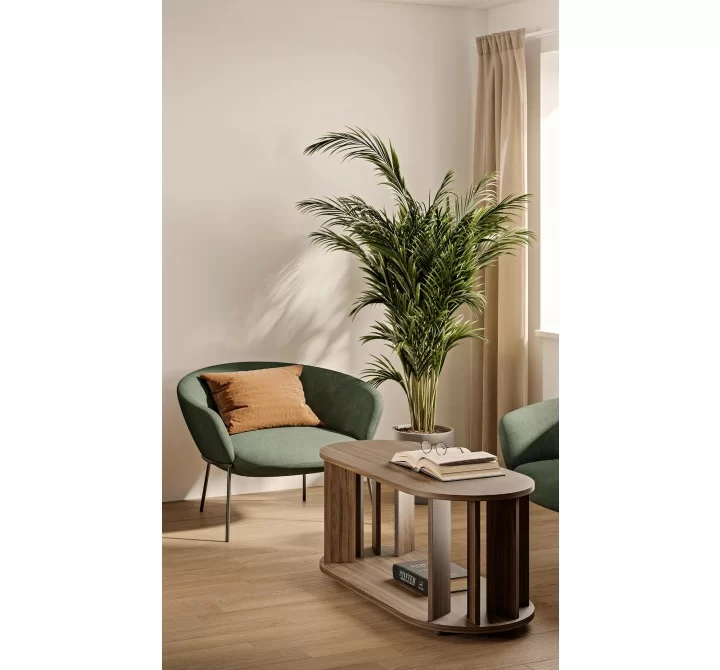 TemaHome Nora Coffee Table in Walnut - Lifestyle