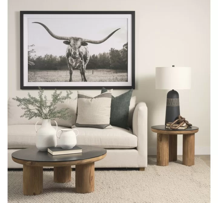 Mercana Tucson Natural Wood With Round Black Oak Top Coffee Table