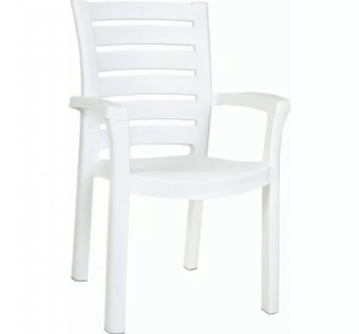 Compamia Marina Resin Dining Arm Chair White/Teak Brown - Set of 2