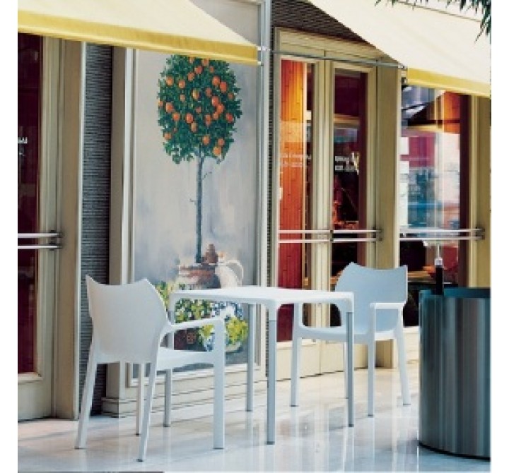 Diva Resin Outdoor Dining Arm Chair - White