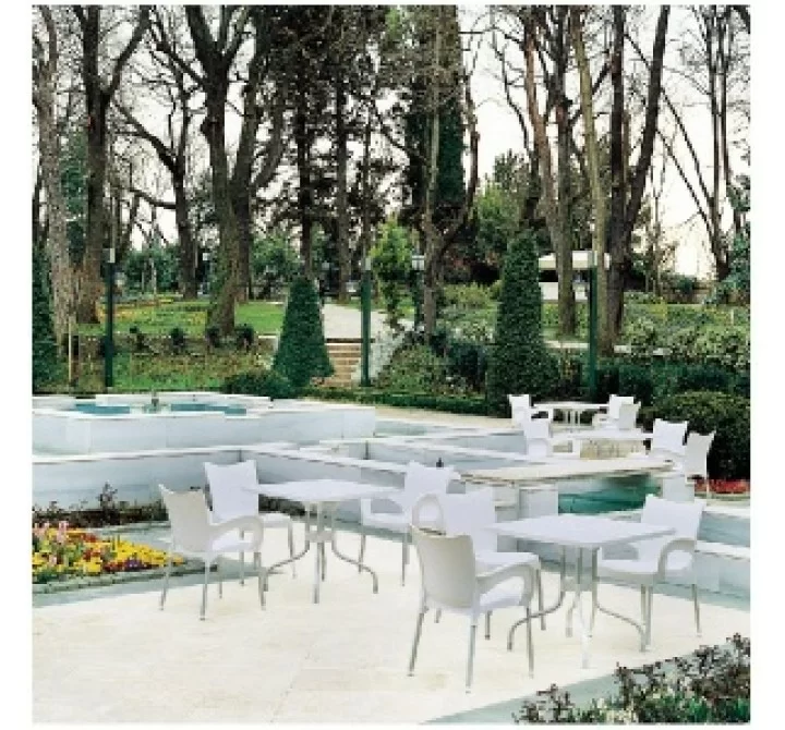 Compamia Romeo Resin Dining Arm Chair - Set of 2