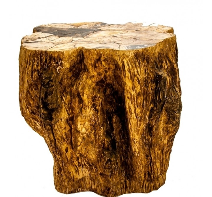 Stilnovo Good Form Petrified Wood Side Table (oggetti)