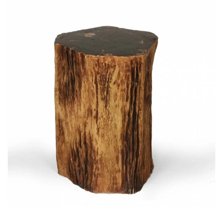 Stilnovo Good Form Tree Trunk Smoking Table with Petrified Inlay Top