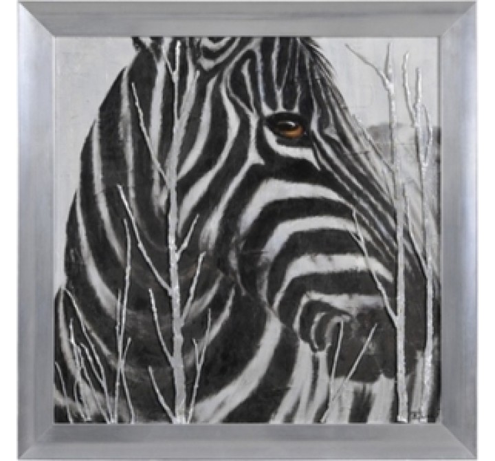 Ren-Wil Burchell's Zebra