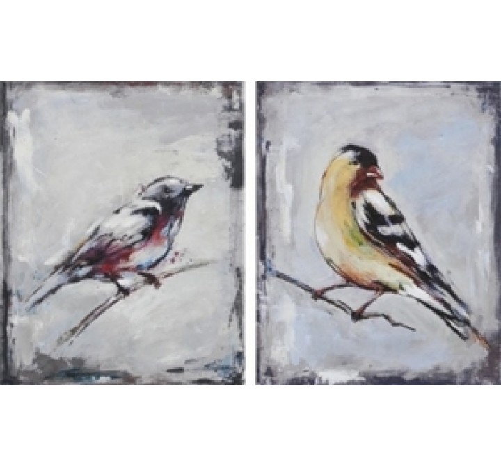 Ren-Wil The Galapagos Finch Set of 2