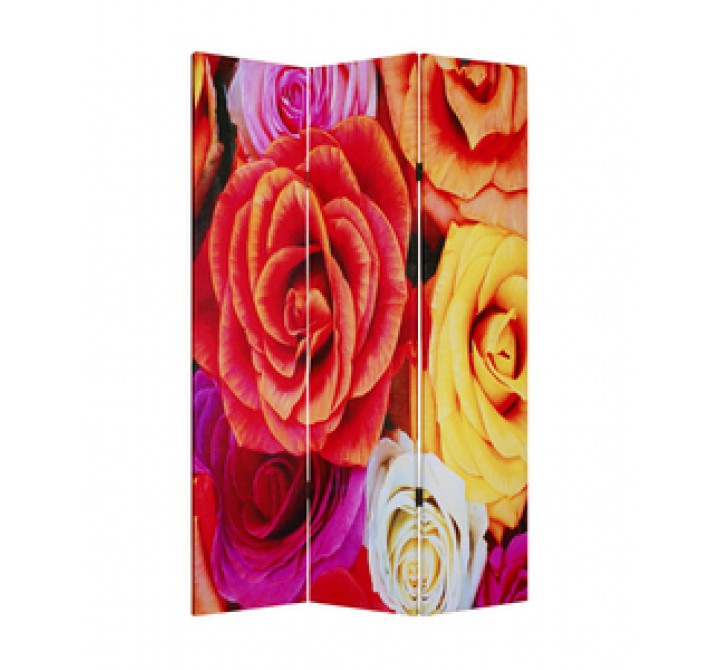 Screen Gems Daisy and Rose Screen