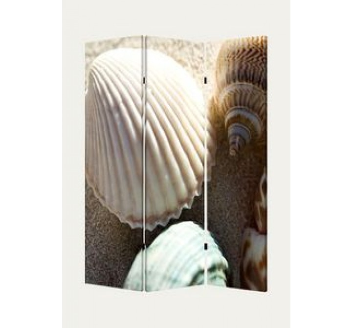 Screen Gems Sea Shell Screen