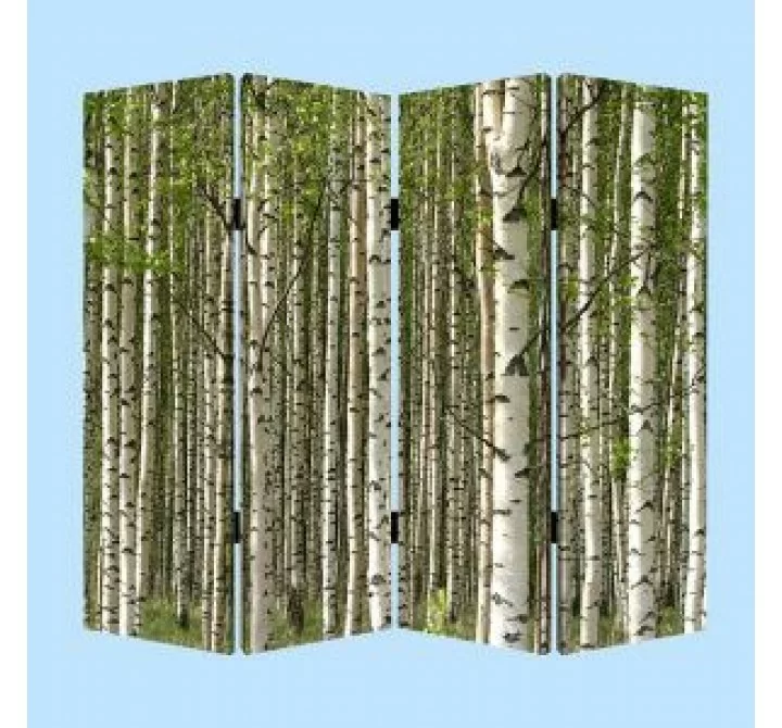 Screen Gems Prolific Forrest Screen