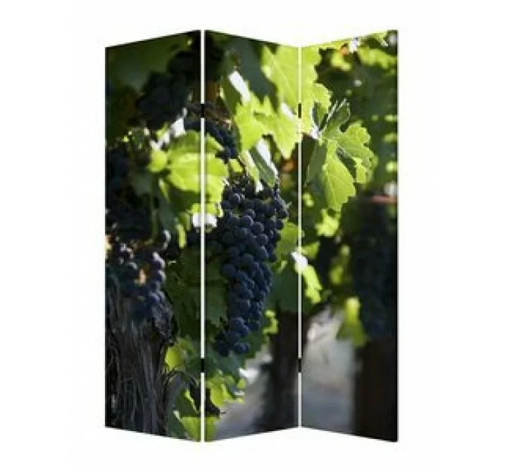 Screen Gems Wine Country Screen