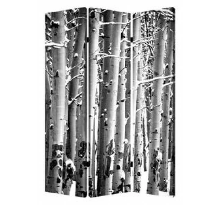 Screen Gems Birch Screen