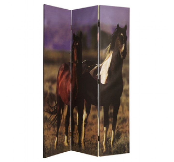 Screen Gems Thoroughbred Screen