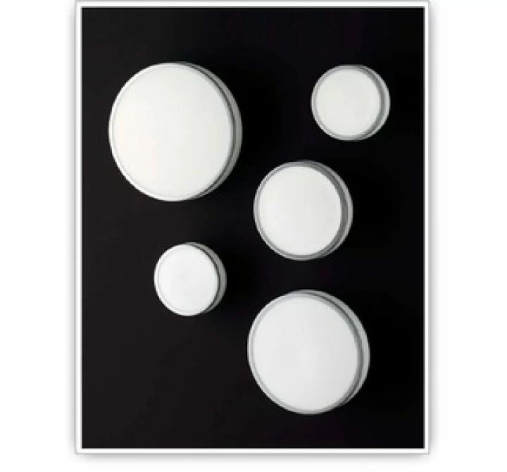 Tango Lighting Carpyen Jacky Wall/Ceiling Light