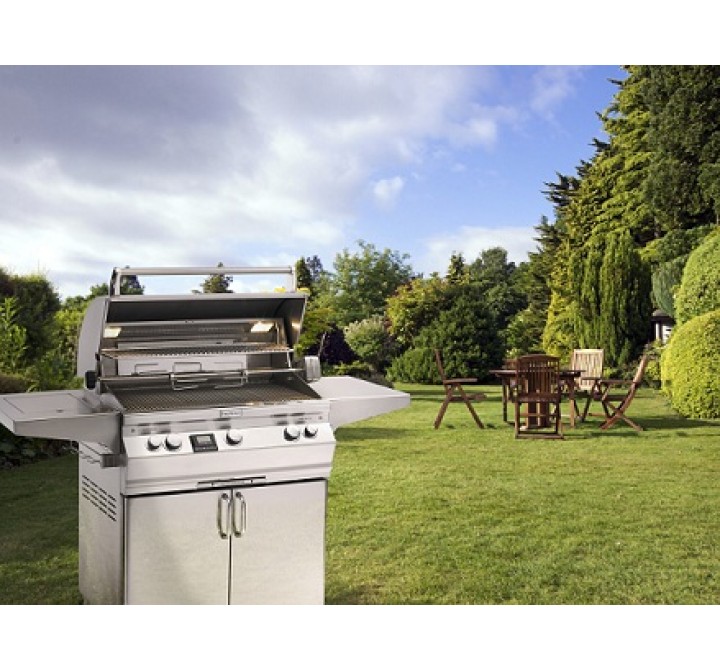 Fire Magic Aurora A540s Grill