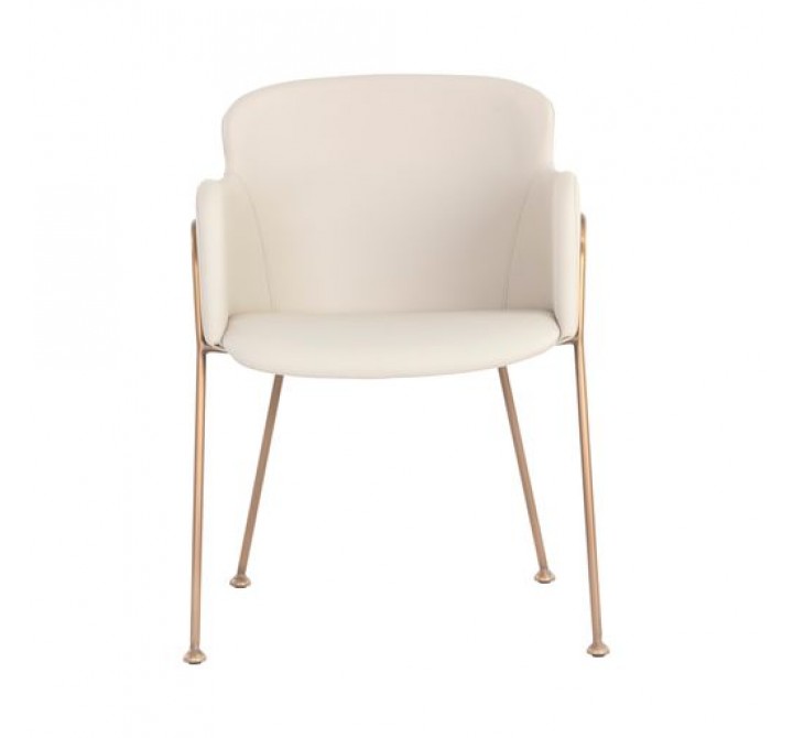 Sunpan Odesa Dining Armchair Dillon Cream - Front Angle